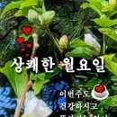 부경 이미지