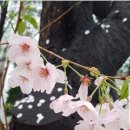 지금이순간 이미지