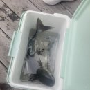 여수가족생활낚시터 이미지