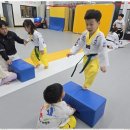 라온제나 태권도 이미지