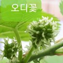 군위슈퍼 이미지