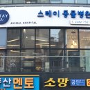 스테이동물병원 이미지