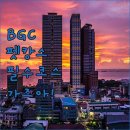맑음펫 | 필리핀 마닐라 BGC 강아지랑 가기 좋은 펫 친화 호텔 정보와 산책 코스 분석
