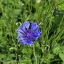 경기둘레길 안성42코스 이미지