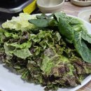 천전언양농장생오리 이미지