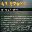 전주이씨 삼효 정려 | 강원도의 보물창고를 찾아서: 속초시립박물관과 오죽헌시립 박물관에서 만난 강원도의 역사 와 문화...