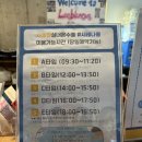 스페인마을라스블랑카스펜션2 | 가평 스페인마을 라스블랑카스 애견 동반 펜션 가족펜션 후기 마지막편 수영장, 바베큐