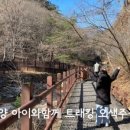 양양수예