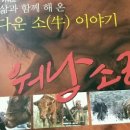 횡성오복떡집 이미지