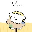 집밥진수성찬 이미지