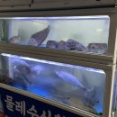 문현4치안센터 이미지