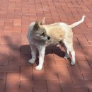 스테이246 이미지