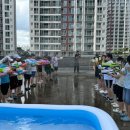 용인대단재태권도 이미지