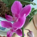 태평4동제3공영주차장 이미지