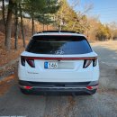 유렌트카 이미지