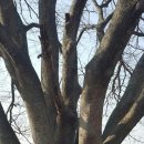 고산돌맹마을 이미지