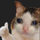 유앤미(YOU&ME) | 레즈비언 결혼 : 서울에서 웨딩스냅 촬영하기 (1인 여성 작가 @유앤미스냅)