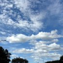 써니한식뷔페 이미지