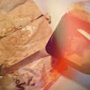 비에이치씨 평해점 | [울진/평해] BHC치킨 울진평해점 :: 치킨 말고 떡볶이? 분모자 로제떡볶이 &amp; 케이준프라이 솔직 후기!