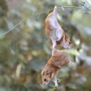 당신을 사랑합니다 이미지