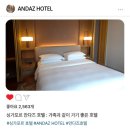 후르츠킹 | 싱가포르 ANDAZ 안다즈 호텔 킹베드 후기 : 부모님 가족 여행 호텔