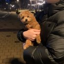 견생 이발소 이미지