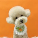 밍그루밍 이미지