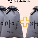 탄화코르크 이미지