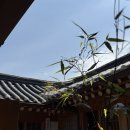 북촌 한옥 돌촬영 후기｜소싯적 사진관