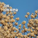 김해농업협동조합 | 경남 김해 목련숲 실시간 3.19 개화상태