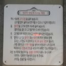 홍돼지 이미지
