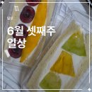 (주)호라이즌 | 동탄 이치고도, 호라이즌16 과일 산도, 유기견 봉사, 그리고 백룸｜6월 셋째 주 일상