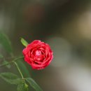 공운삼거리 이미지