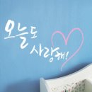 단비 쇼핑하우