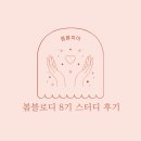 봄봄피아 봄블로디 8기 스터디 후기, 새로운 시작