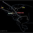 붉은황소 이미지