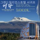 그랜드밀리언스호텔서귀포 | [제주도/호텔] 그랜드밀리언스호텔 서귀포 가성비 좋은 호텔 찾는다면 여기