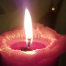 사랑의빛 이미지