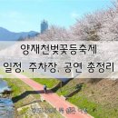 양재천벚꽃축제 2026 일정 주차장 방문꿀팁 총정리 양재천 벚꽃 실시간 현황 서울 벚꽃 명소 추천...