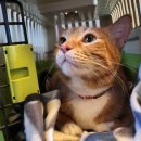 원세차장 이미지