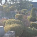 경기둘레길 김포고양4코스 이미지