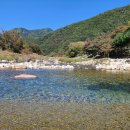 포레스트캐빈앤캠프 이미지