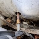 장림무지개 이미지