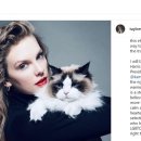 해리스힐 이미지