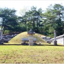 196호 Daum카페