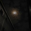 보름달작은도서관 이미지