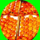 청도청과 이미지