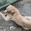 만종대형약국 이미지