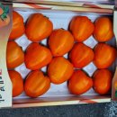 나주청과 이미지