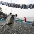 바다내음 이미지